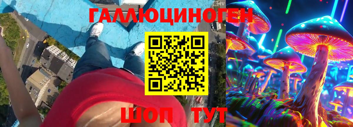 Псилоцибиновые грибы MAGIC MUSHROOMS Дмитров