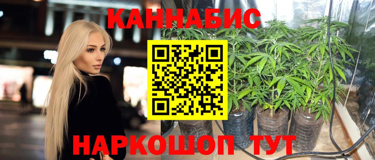 Меф   Дмитров  Конопля  ГАШ  Вход с VPN  ГАШ  Кокаин 